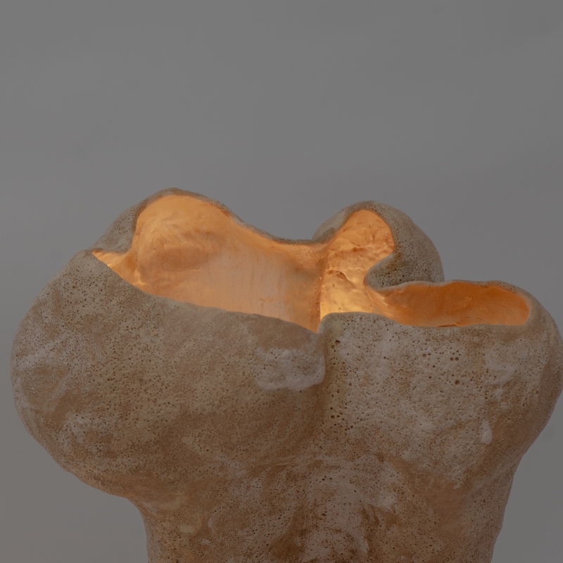 Obra 1